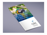 1 AIIC Vega Campaign