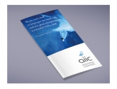2 AIIC VEGA Campaign