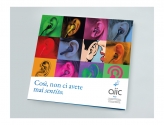 2-aiic-voices