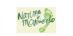 g-logo-natura-movim