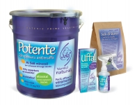 latta-potente-14-lt-solas