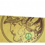 Copertina AIIC